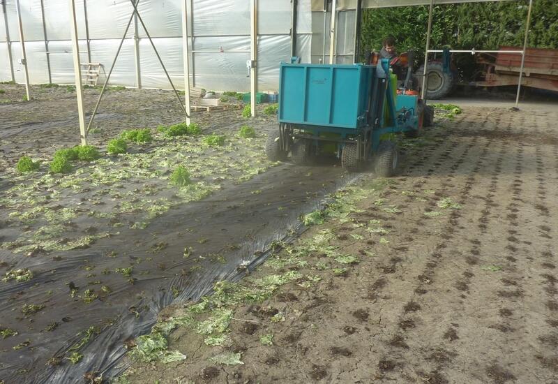 La machine de nettoyage des paillages salade est complètement opérationnelle et mise à disposition chez plusieurs producteurs pour la saison salade 2021-2022.