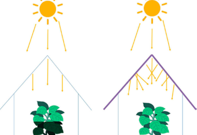 La lumière directe (à gauche) arrive en ligne droite du soleil, tandis que la lumière diffuse (à droite) est déviée par des molécules ou des matériaux.