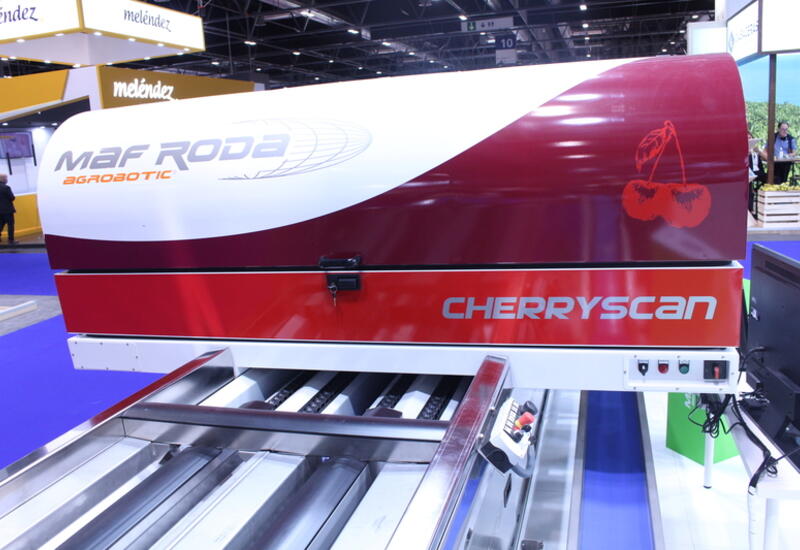 Cherryway 4 est une machine de calibrage et de tri des cerises conçue par Maf Roda.