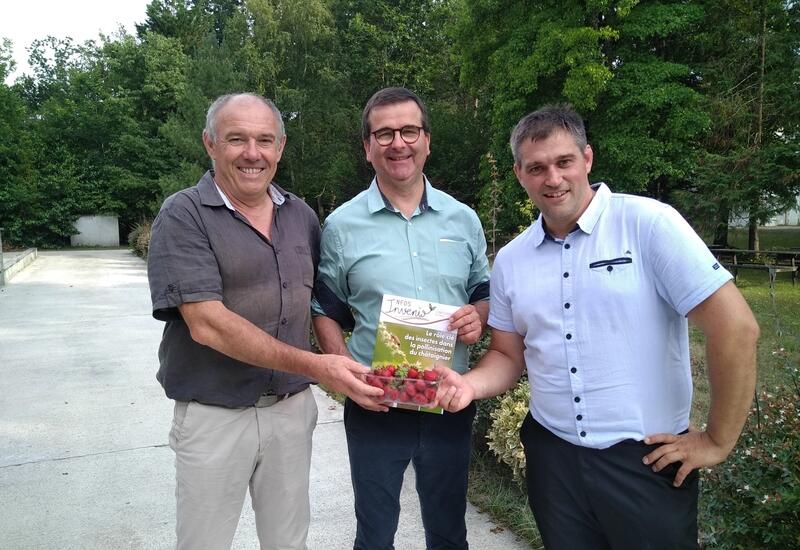 Pierre Gaillard (à gauche) transmet une barquette de fraise Charlotte, création variétale Invenio-Ciref à Sébastien Cavaignac, nouveau directeur, en présence de Vincent Schieber, prédisent d’Invenio (au centre).