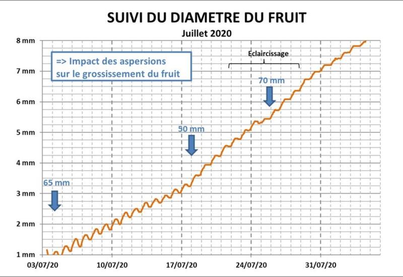 Suivi du diamètre de fruit par dendromètre sur Rosy Glow en 2020 à Cavaillon.A partir de mi-juillet, la perte de diamètre de la pomme en journée s'arrête.