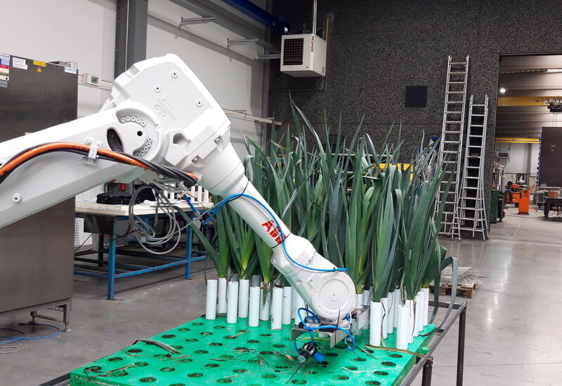 La récolte automatisée de poireau par un bras robotique est un autre axe des travaux de recherche.