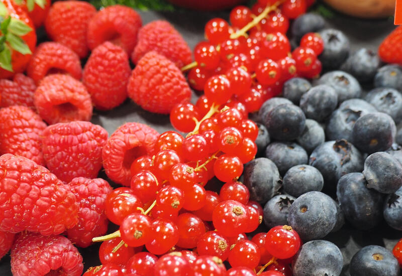 Les petits fruits rouges bénéficient d'un engouement important auprès des consommateurs, dont le profil est plus jeune et familial que pour l'ensemble des fruits.