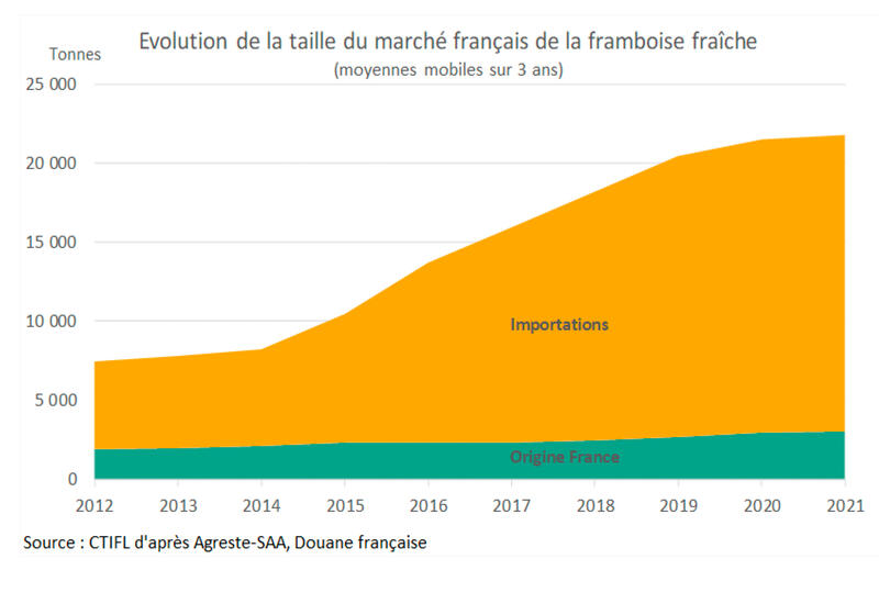 Le marché français de la framboise dépend en majorité des importations.