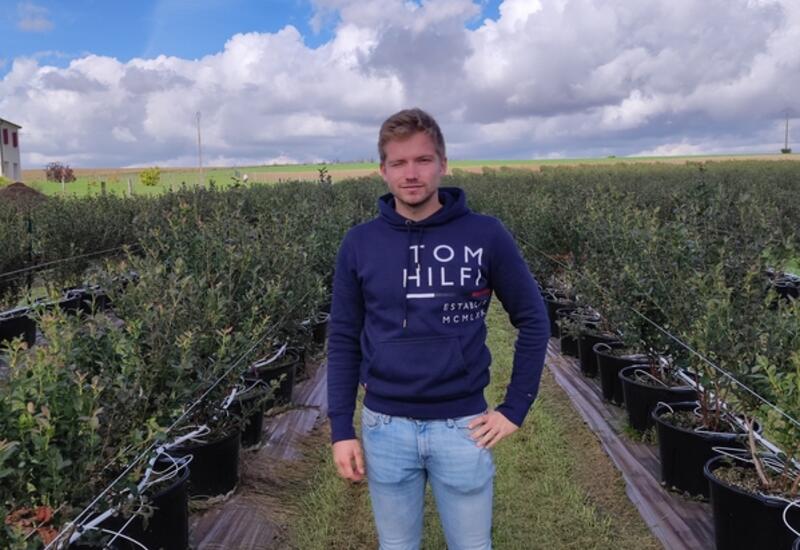 En médaillon, Rodolphe Schneider, producteur de fraises hors-sol, découvre depuis deux ans la culture de myrtille en pots. 
