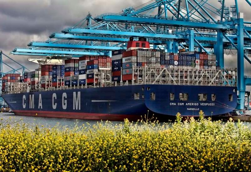 Ces lignes concernent le transport de fruits et légumes. © CMA CGM