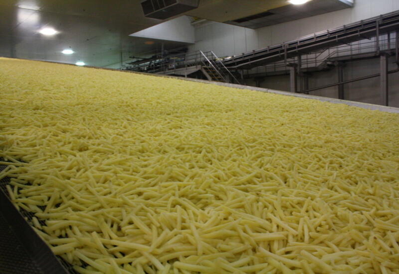La Belgique transforme aujourd’hui 5 Mt de pommes de terre par an : frites, produits de purée, flocons… © Philippe Gautier - FLD