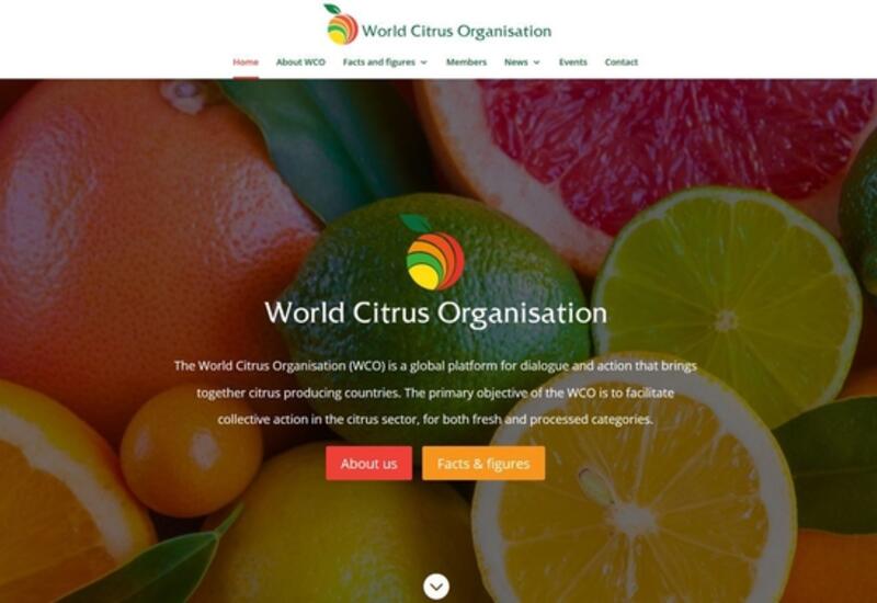 La WCO a lancé son site internet.  © WCO