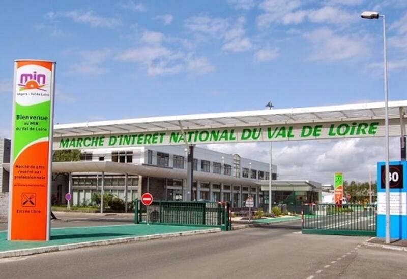 En 2019, sur le Min d’Angers-Vivy, le secteur des fruits et légumes a reculé en volumes de 3 % (19 490 t) et en valeur de 6% (31,59 M€) © Sominval