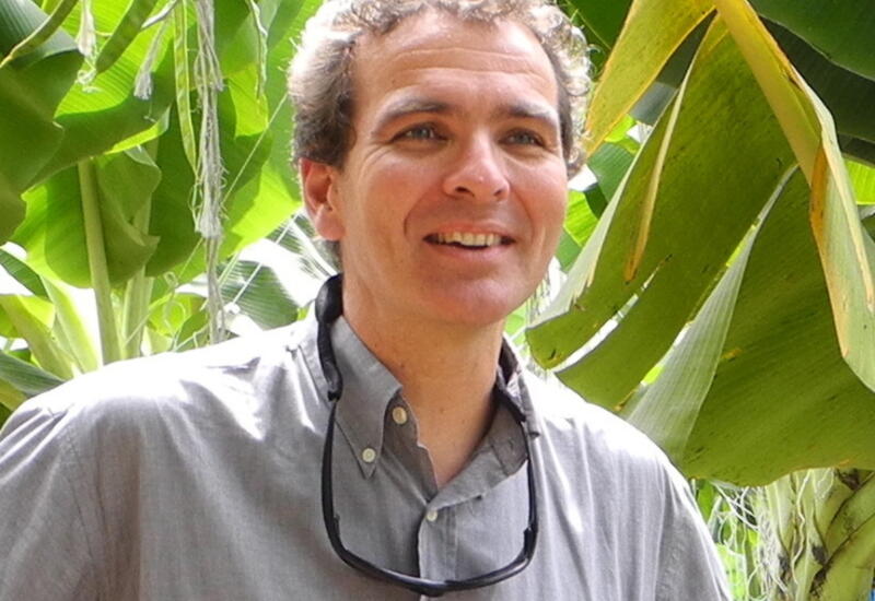 Denis Loeillet, expert banane et responsable de l’Observatoire des marchés et des innovations au Cirad.