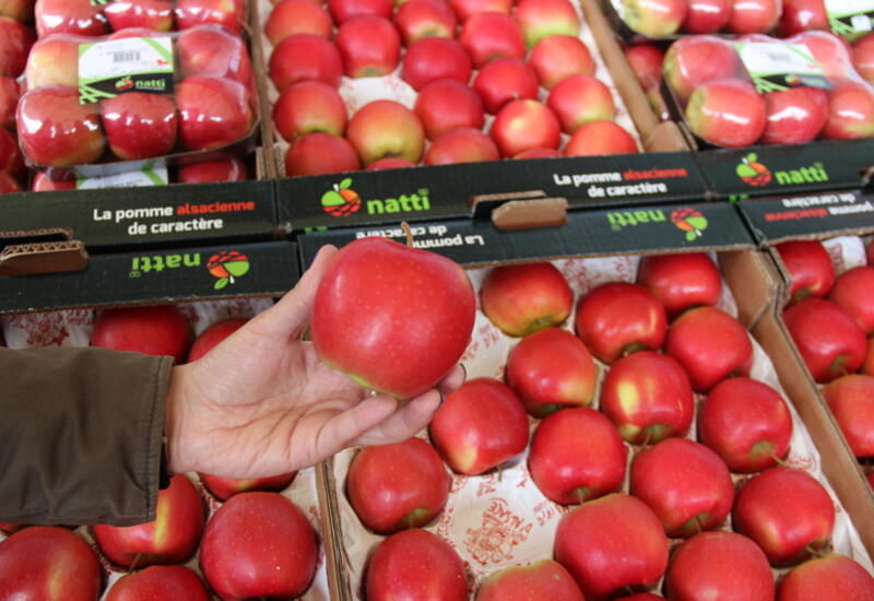 La pomme Natti est une variété Club et de terroir. © Julia Commandeur - FLD