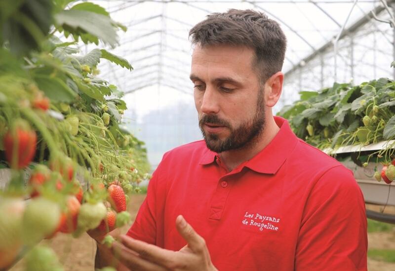 Xavier Dupont, installé à Coublucq dans les Pyrénées-Atlantiques, est engagé auprès de Valprim qui assure la commercialisation de la totalité des fraises en label ...