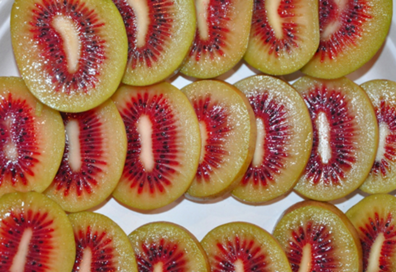 Jaune et rouge : Peruzzo investit massivement dans le kiwi de couleur