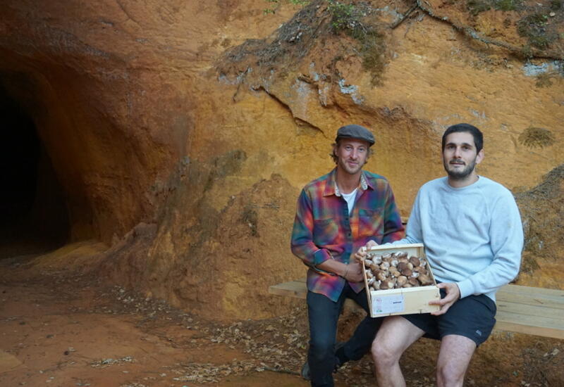 Victor Lallement et Quentin Blochard ont réhabilité un kilomètre de galerie pour redémarrer la production de champignon dans les mines d'ocre. 