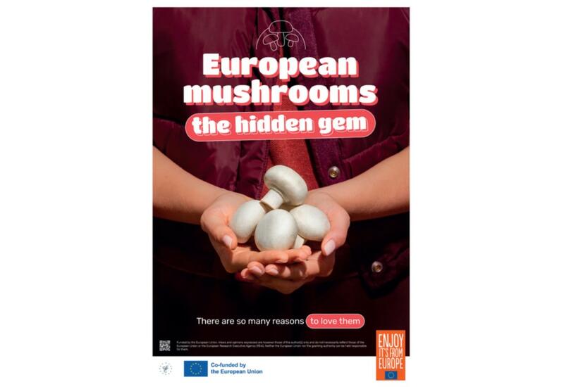 Affiche de la campagne de promotion du champignon européen : “European Mushrooms, the hidden gem”.