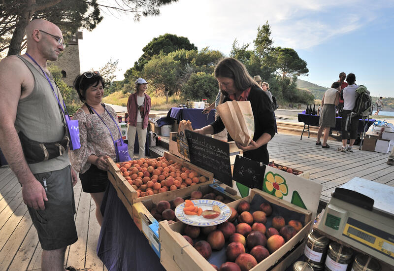 Touristes sur un marché du terroir à Port-Vendres . Vente de fruits et légumes en direct du producteur. Clients . Achat de produits agricoles. sur un site touristique. Abricots et nectarines du Roussillon. Consommation. Abricot. Nectarine . Agricultrice . Arboricultrice. Circuit court. Productrice. Commerce de proximité.