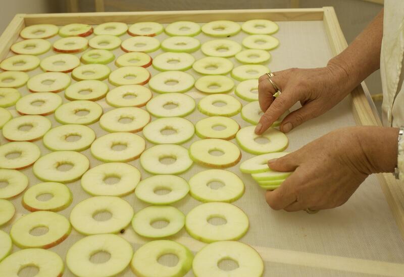 tranches de pommes préparées à être séchées 