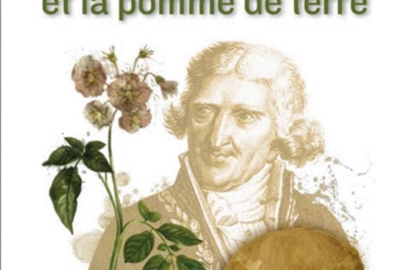 Vignette