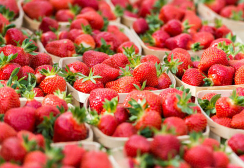 fraises en barquettes bois 