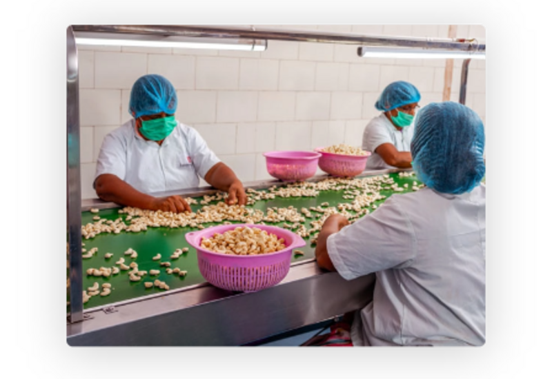 l’initiative Honest Cashew par Vico. usine de noix de cajou en Inde