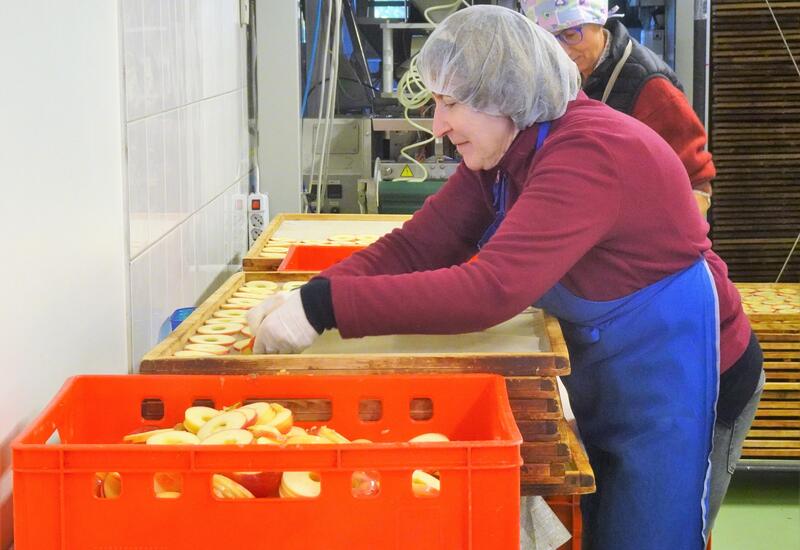 atelier chips de pommes Frutty