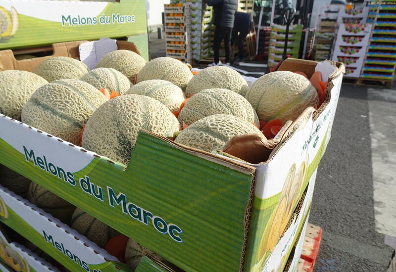 Melon du Maroc sur Rungis.