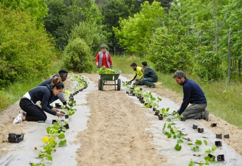 légumes en ville de Nantes