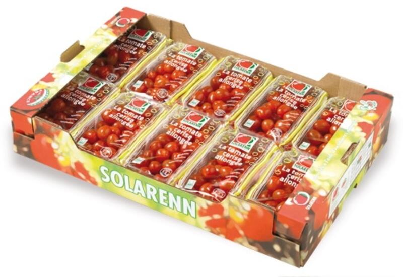 La tomate ronde bretonne  Fruits Prince de Bretagne