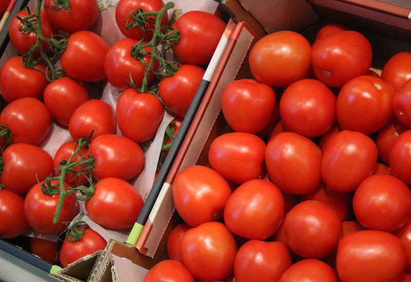 Deux caisses de tomates 