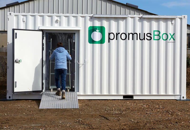 promus box