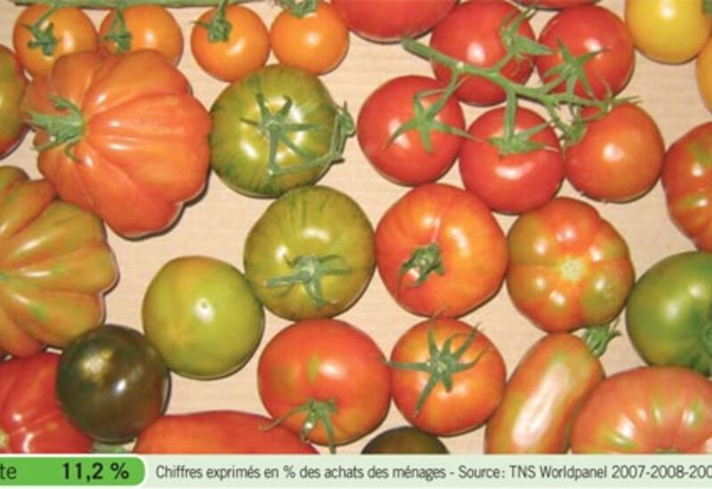 Graine de fruit bio - Différentes variétés de Tomates