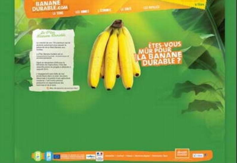 Tout savoir sur la banane