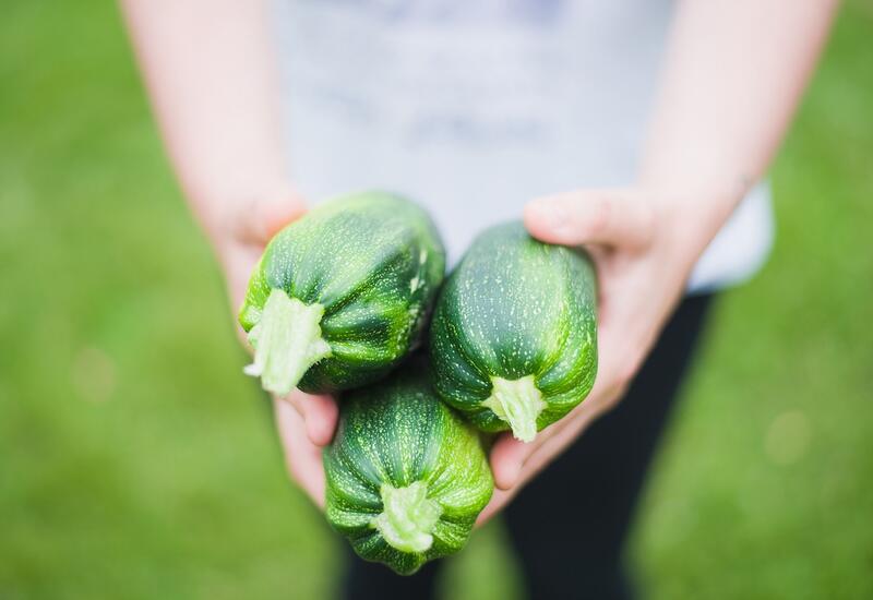 courgette gros plan