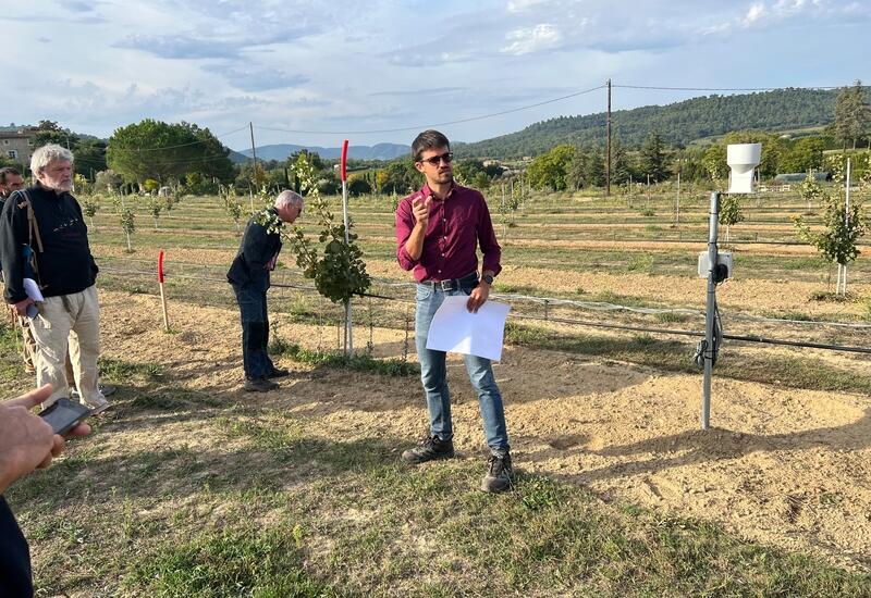 Comme l’explique Francisco Bustamante, chargé d’affaires arboriculture à la société du canal de Provence, le pistachier est sensible à l’asphyxie et s’accommode ...