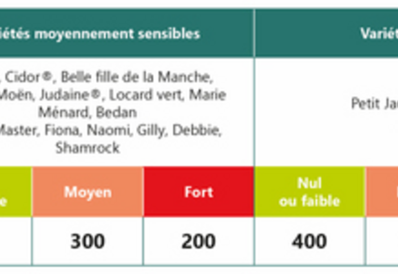 Des travaux récents ont permis de proposer une grille de décision avec une valeur de risque spécifique en-dessous de laquelle aucune intervention n’est réalisée.