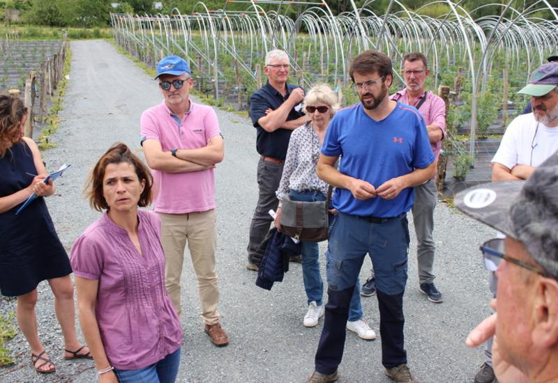 Sophie Ponson et Martin Bouvier présentaient la plantation de myrtille nouvellement mis en place à leur arrivée en 2019.