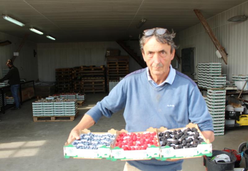 Depuis les années 1990, Gérard Boissiéras a spécialisé son exploitation dans les fruits rouges avec désormais une gamme complète dont la myrtille.