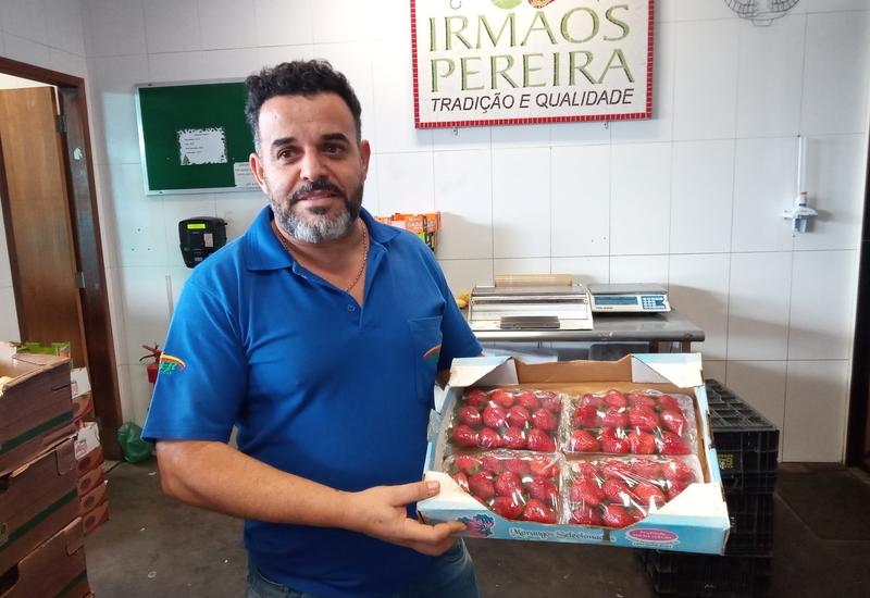 Le Brésil demeure un pays importateur net de pulpes de fraise congelées.