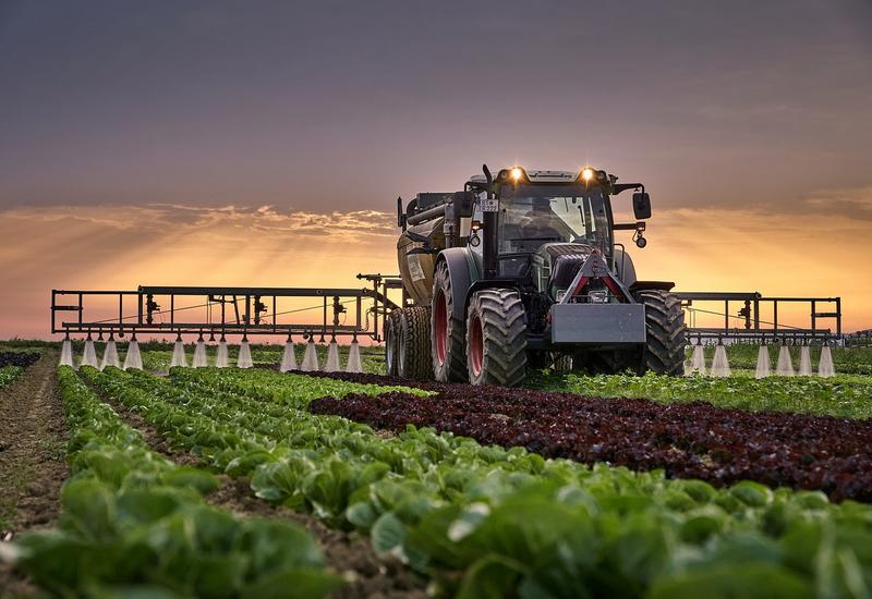 Tracteur, Laitue, Cultiver.