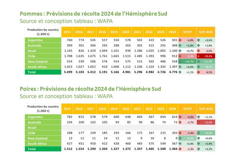 Prévisions de récolte de pommes et de poires de l'Hémisphère Sud en 2024. Données de WAPA.