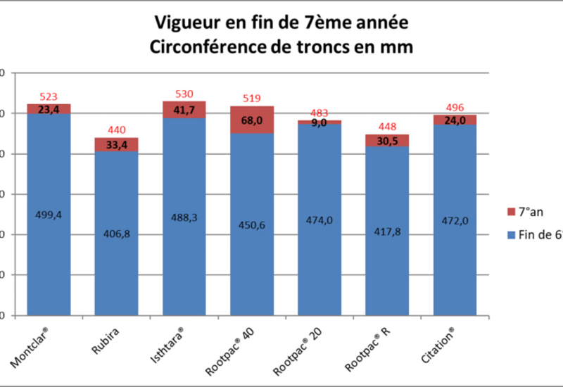 Abricot : de nouveaux porte-greffes évalués