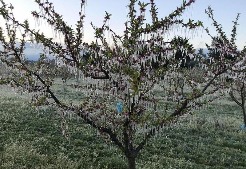 La casse mécanique des charpentes – notamment sur certaines formes en raison du poids de la glace – est une autre conséquence éventuelle à prévoir de l’emploi de ...