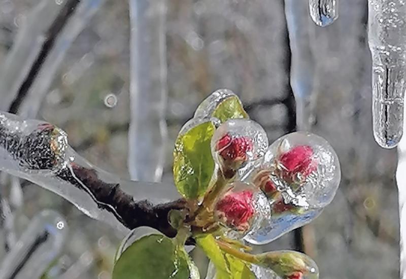 L’aspersion doit nécessairement anticiper toute stratégie préventive phytosanitaire, par rapport au risque de lessivage.