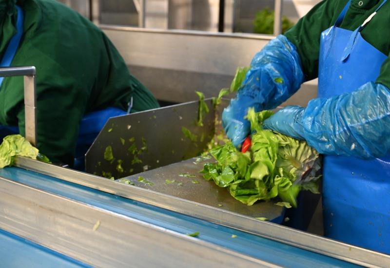La salade IVe gamme est devenu un produit du quotidien que les Français continuent d'acheter.
