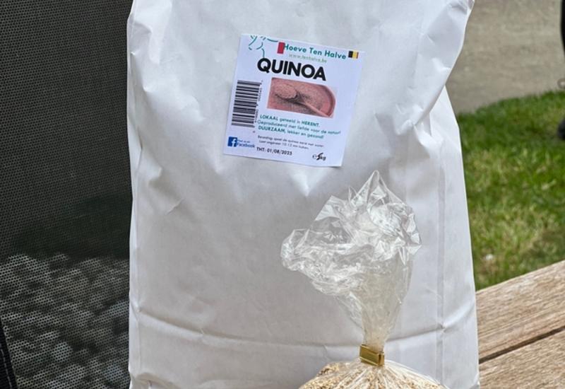 La Belgique se lance dans la culture du quinoa