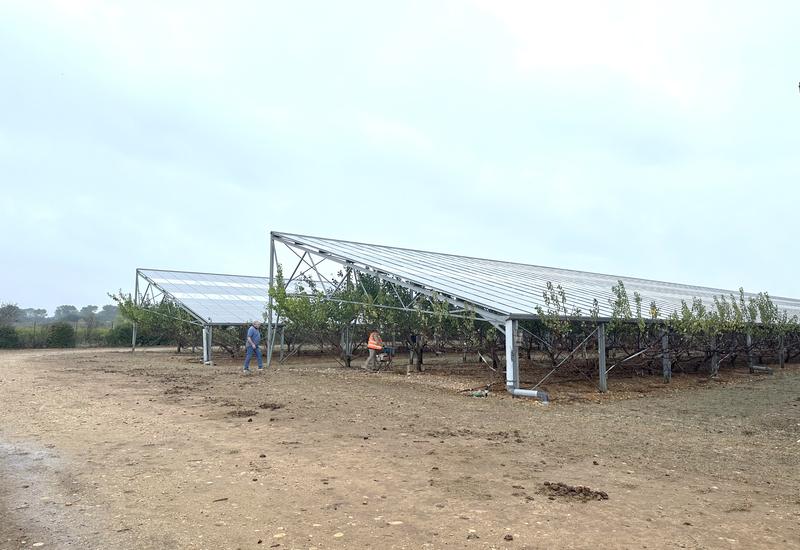 Agrivoltaïsme : comment partger la lumière et le revenu ?