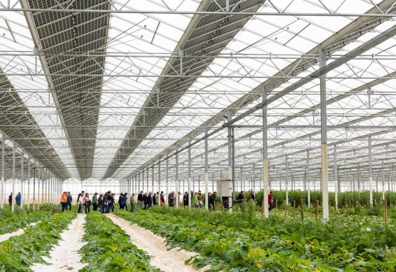 Plusieurs constructeurs et énergéticiens ont récemment finalisé des projets avec le partenariat de producteurs.