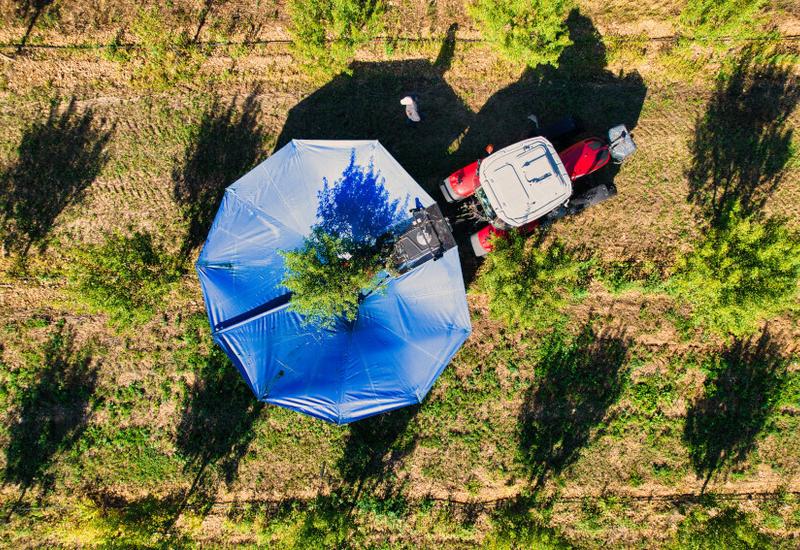 Vue aréienne de la récolte mécanique des amandiers dans le Vaucluse par la Compagnie des Amandes. 