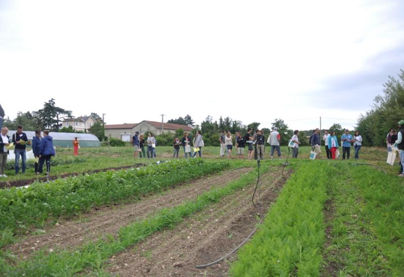 maraîchage sur petite surface