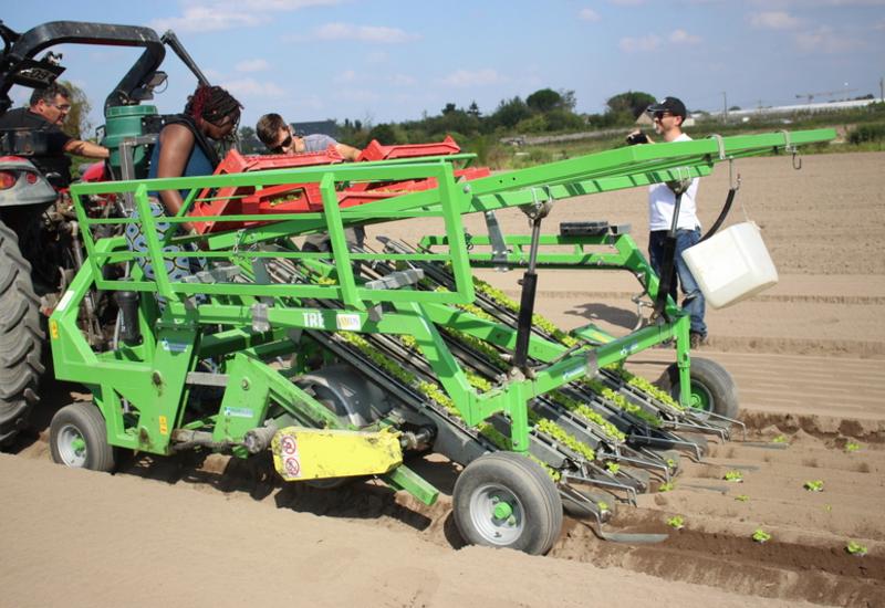 <em class="placeholder">planteuse légumes Hortech</em>